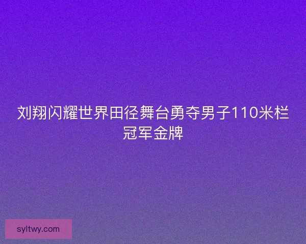 刘翔闪耀世界田径舞台勇夺男子110米栏冠军金牌